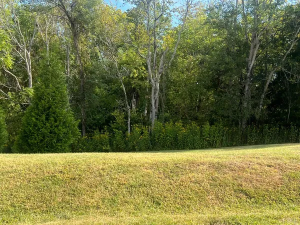 a view of an outdoor space