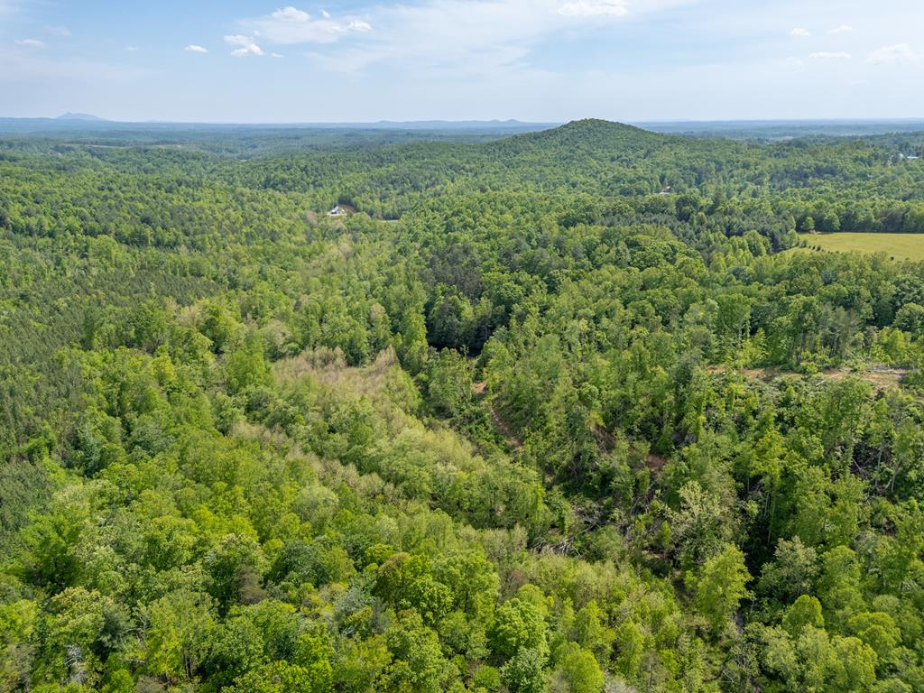 Tbd Ahart Ridge Road, Unit 58 60 61 Ararat, VA 24053 - Photo 38 of 54 Gallery Image 38