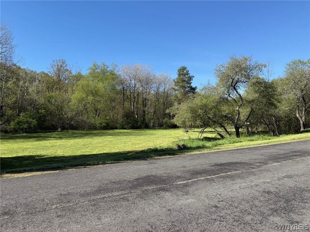 3137 Bear Creek Road Machias, NY 14737 - Photo 3 of 50