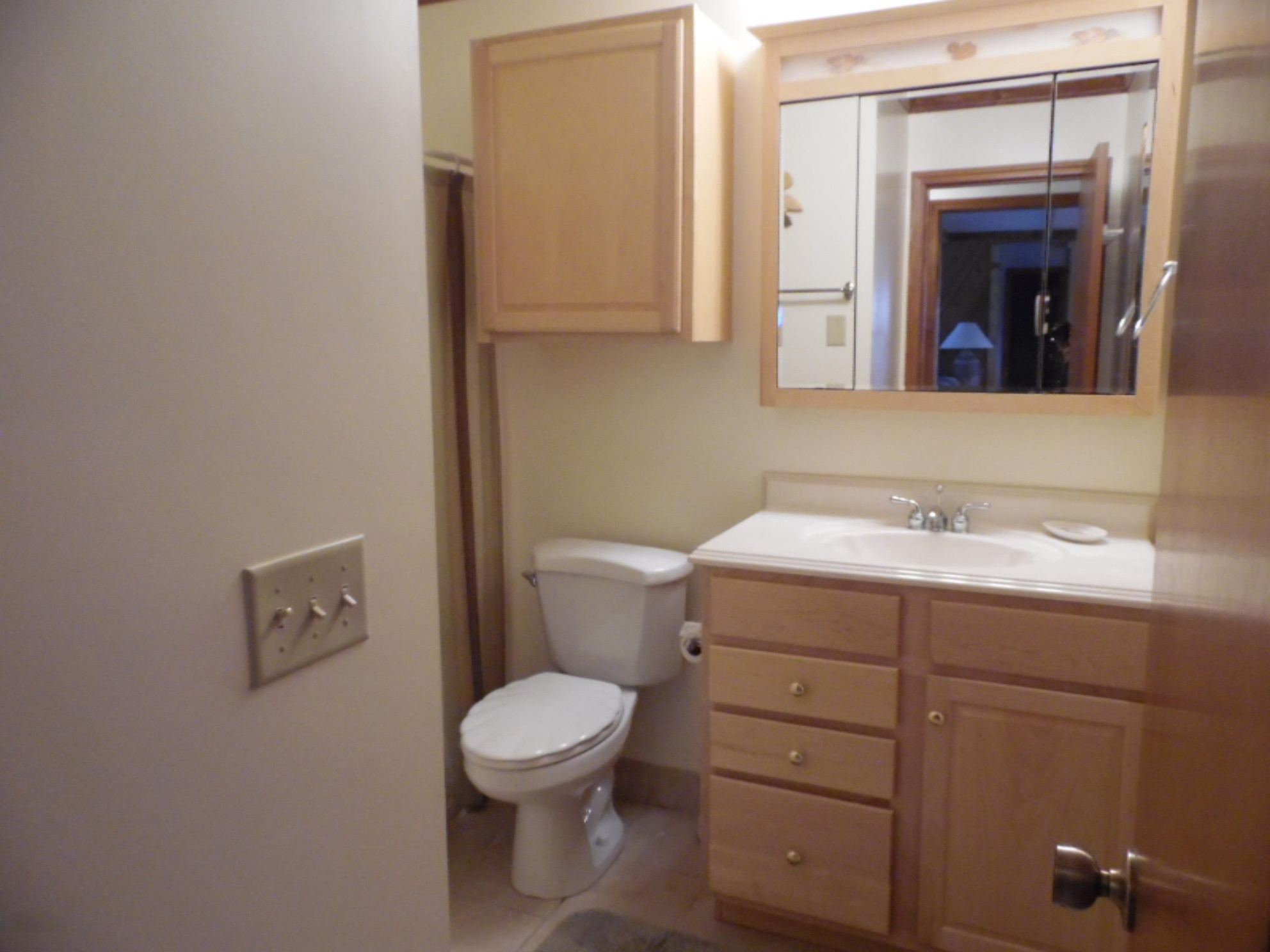 1025 Kope-Kon Road Coldwater, MI 49036 - Photo 17 of 45 SAM_0059