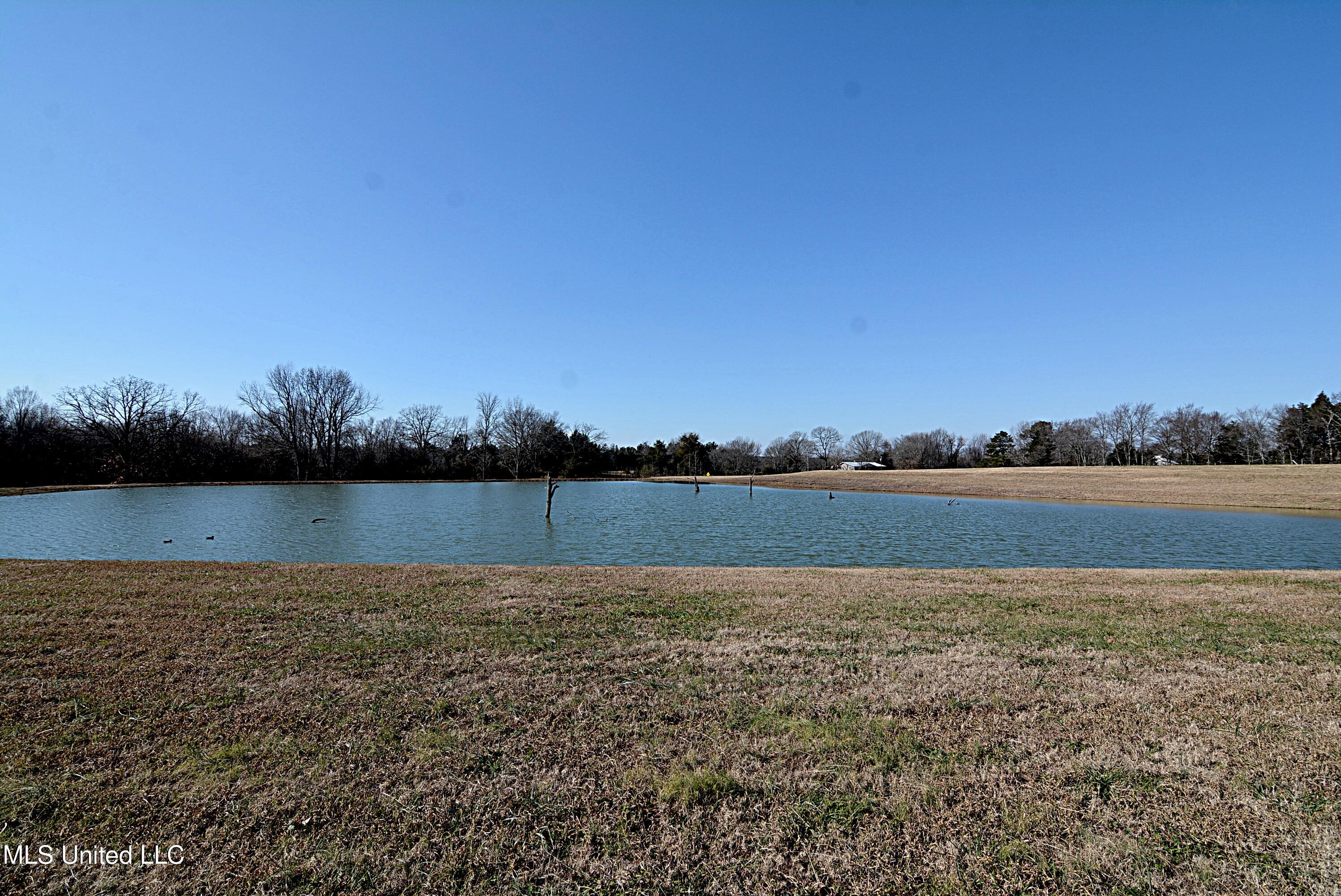 150 Bett Road Coldwater, MS 38618 - Photo 41 of 46 Lake in front of home
