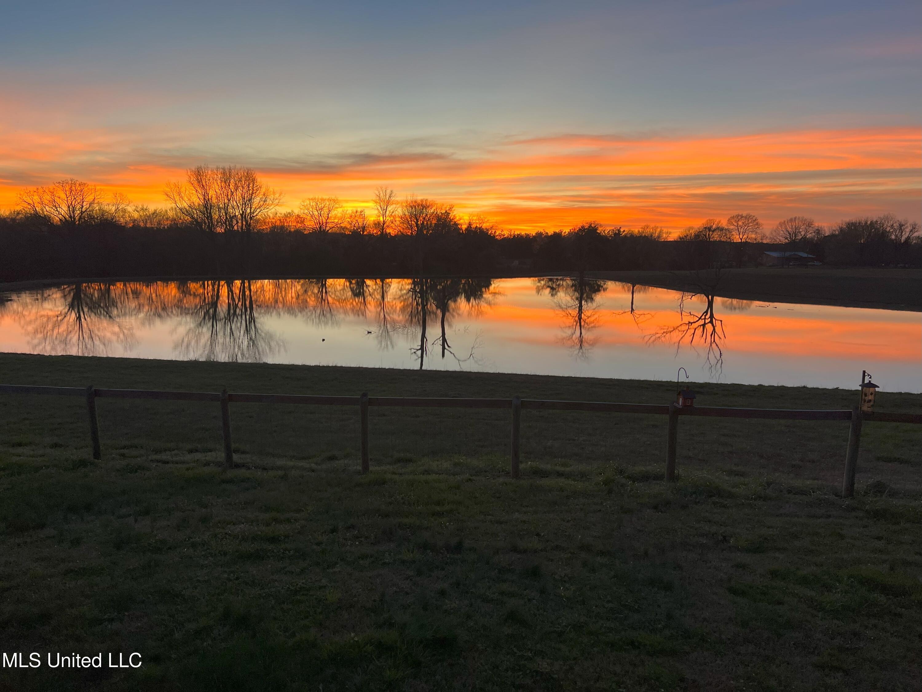 150 Bett Road Coldwater, MS 38618 - Photo 44 of 46 Sunset
