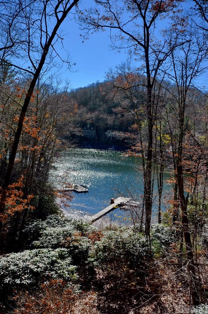 364 Falls Cove Road Cullowhee, NC 28723 - Photo 4 of 40 Gallery Image 4