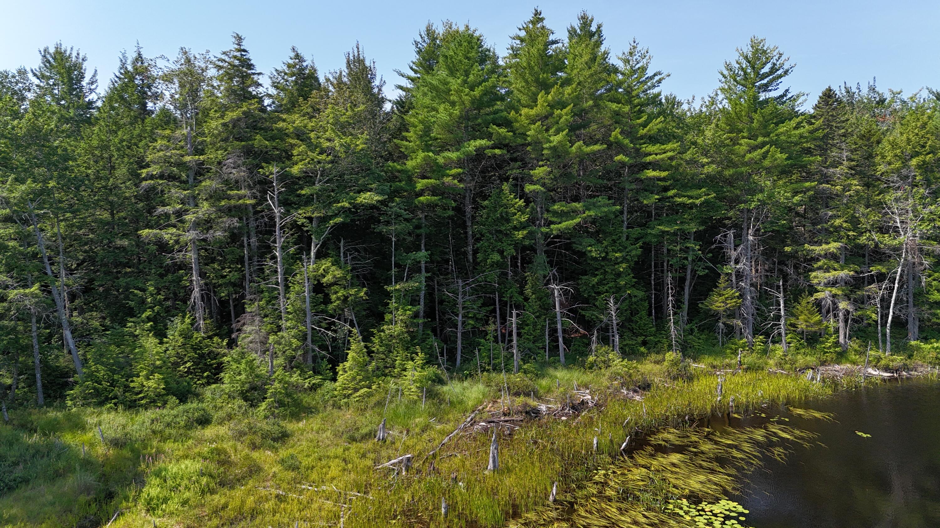 Lot 83-84 Off Jesse Ladd Road Vienna, ME 04360 - Photo 19 of 46 26acresOnDavisPond (30)