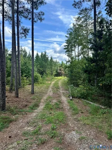 a view of a yard with a tree