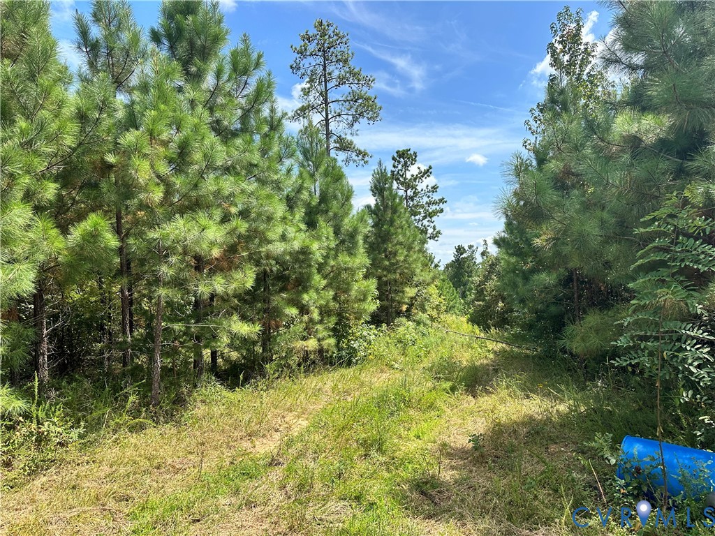 0 Loman Road Meherrin, VA 23954 - Photo 12 of 12 a view of a garden