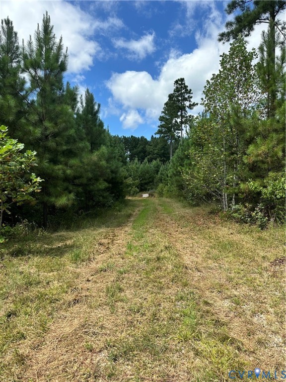 0 Loman Road Meherrin, VA 23954 - Photo 3 of 12 a view of a yard with a tree
