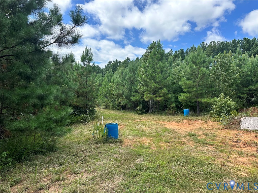0 Loman Road Meherrin, VA 23954 - Photo 4 of 12 a view of a outdoor space and a yard