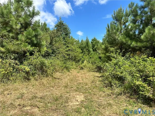 a view of a green field