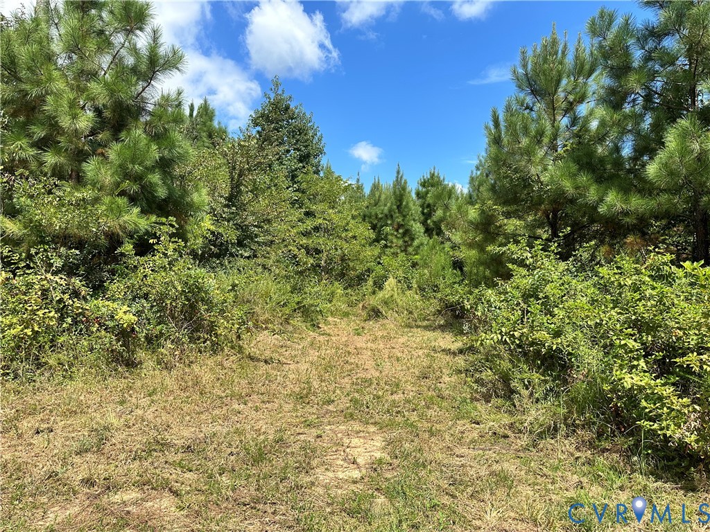 0 Loman Road Meherrin, VA 23954 - Photo 10 of 12 a view of a green field