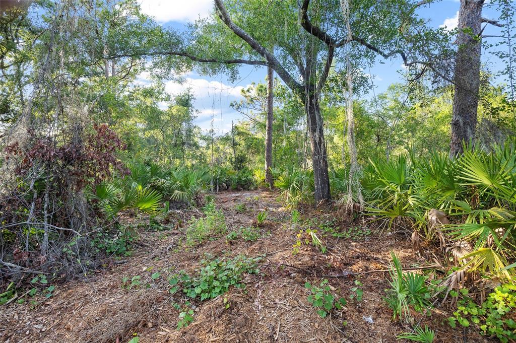 Lake Le Clare Road Lutz, FL 33558 - Photo 16 of 17