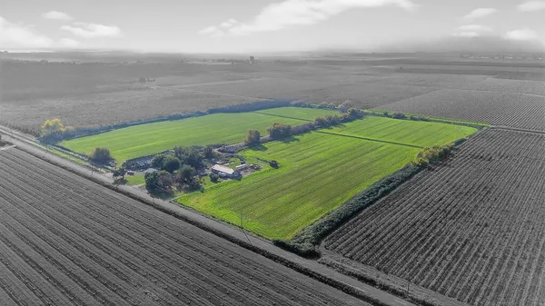 a view of a two chairs on the roof deck