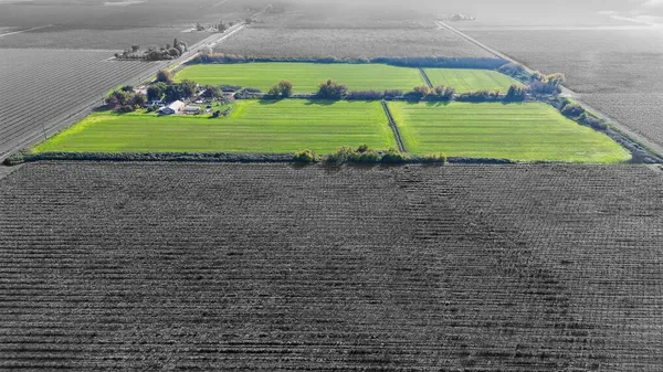 a view of a house with a big yard and potted plants