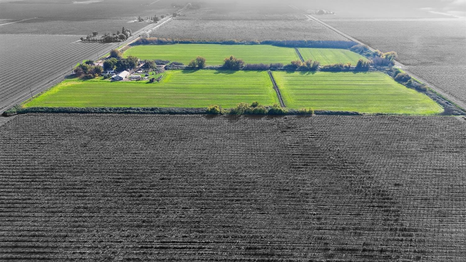 28015 Blossom Road Thornton, CA 95686 - Photo 24 of 34 a view of a house with a big yard and potted plants