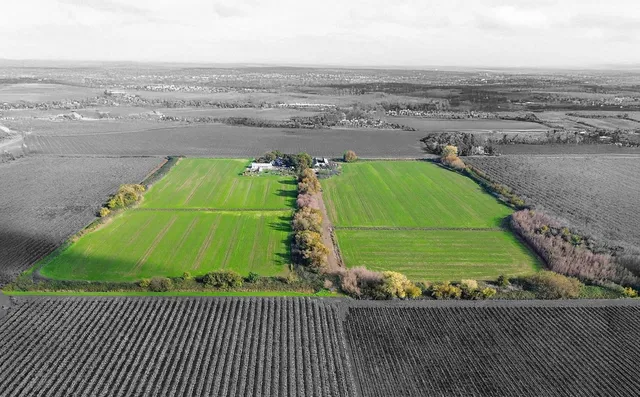 a view of a tennis court