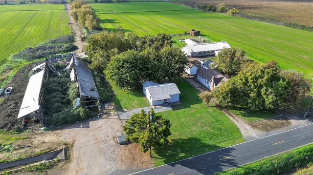 front view of a house with a tree