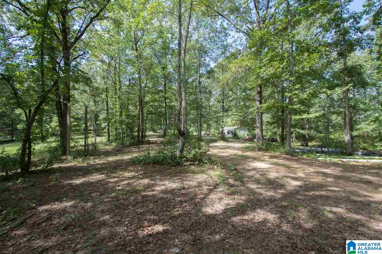 674 Griffin Road Chelsea, AL 35043 - Photo 48 of 50