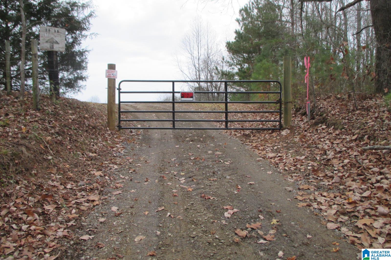 10362 Co Highway 24 Oneonta, AL 35121 - Photo 6 of 17