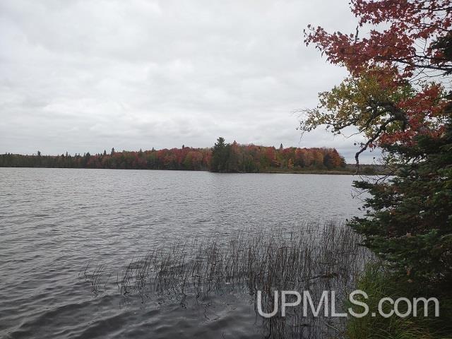 5800 Wolf Lake Road Watersmeet, MI 49969 - Photo 16 of 86