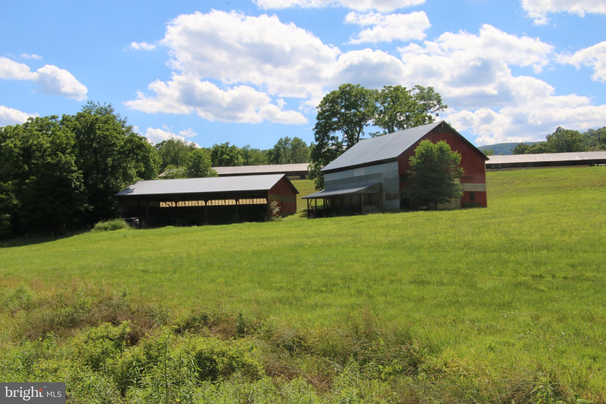 2332 Alum Springs Road Basye, VA 22810 - Photo 44 of 93 Gallery Image 44