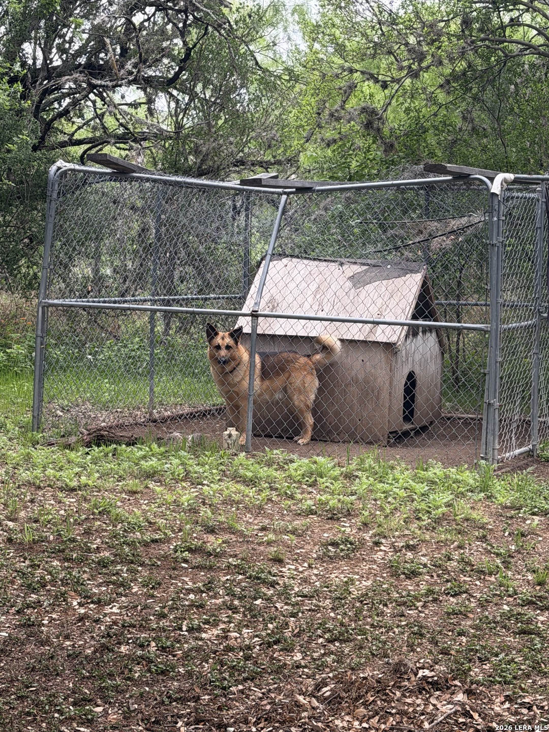 6197 Ranch Road 1120 Rio Frio, TX 78879 - Photo 4 of 9