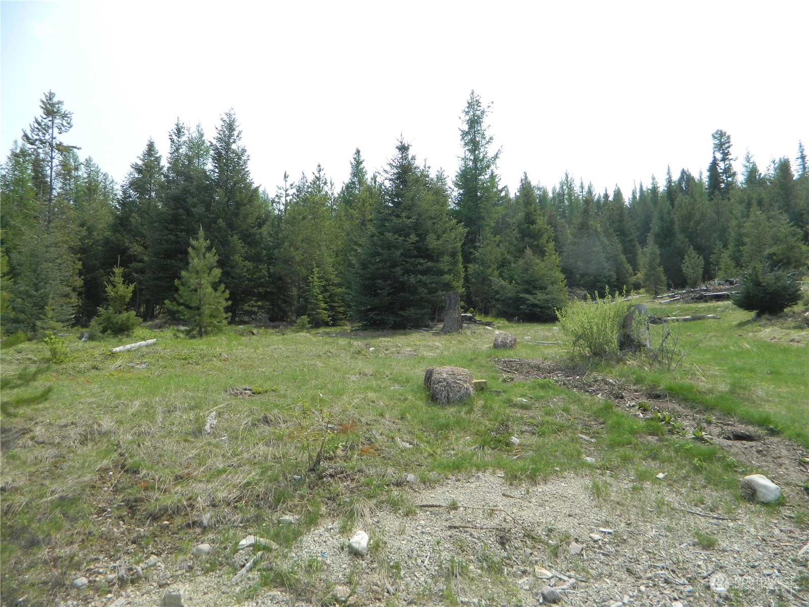 8 Fs 3200 Road Tonasket, WA 98855 - Photo 27 of 34 a view of a trees with a yard