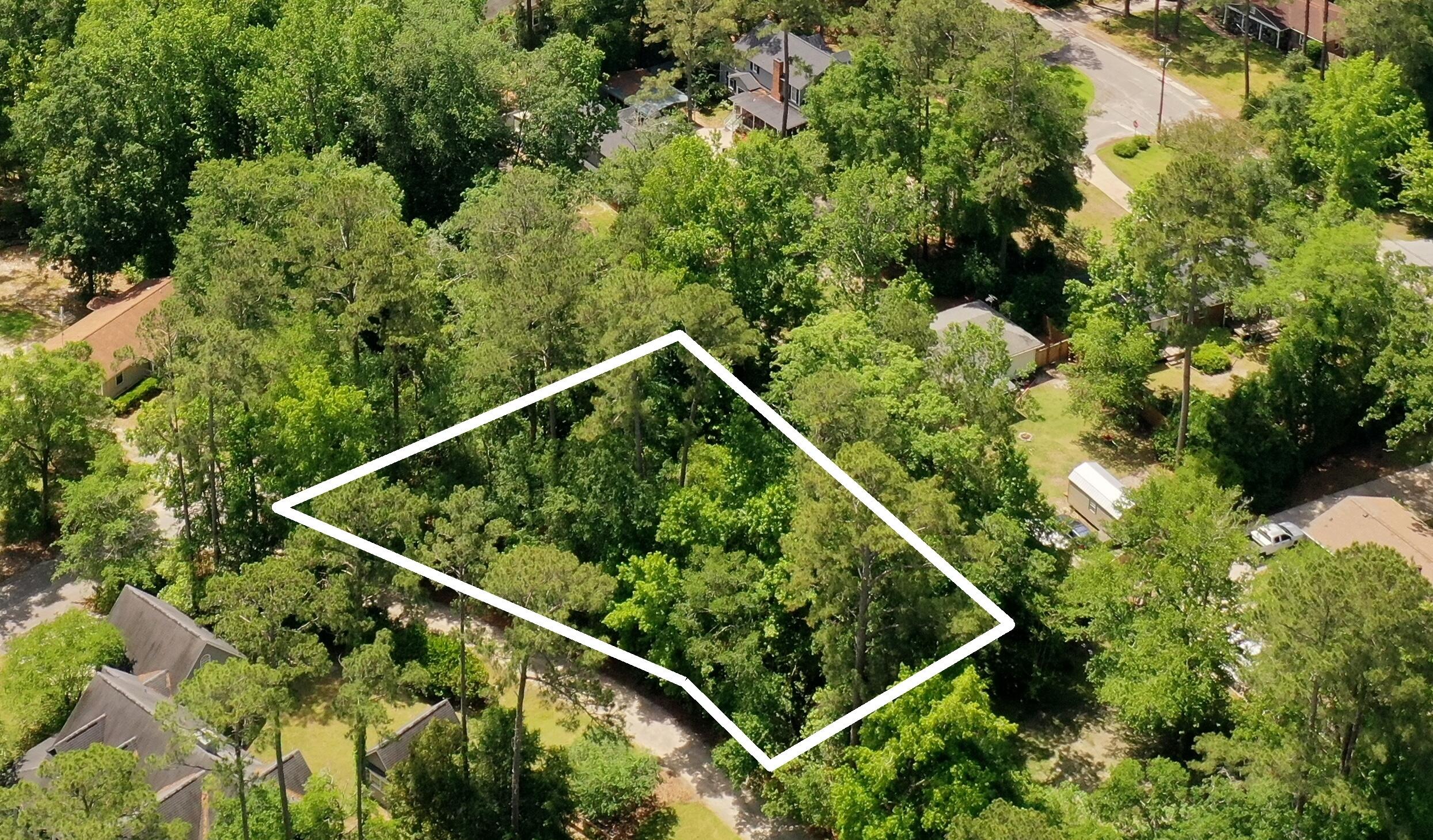 0 Sable Street Walterboro, SC 29488 - Photo 9 of 14 Pic9