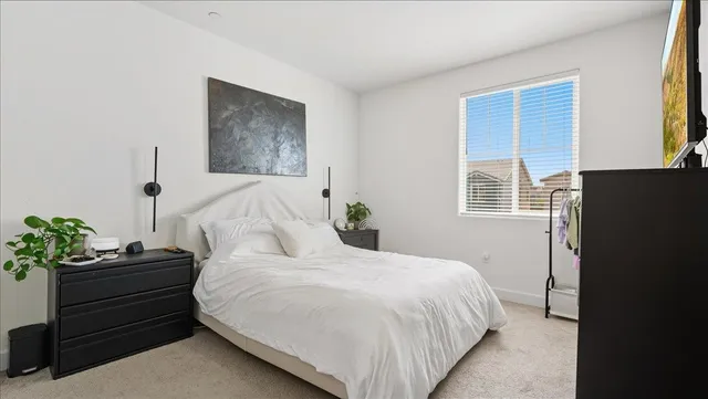 a bedroom with a bed potted plant on the dresser and a window