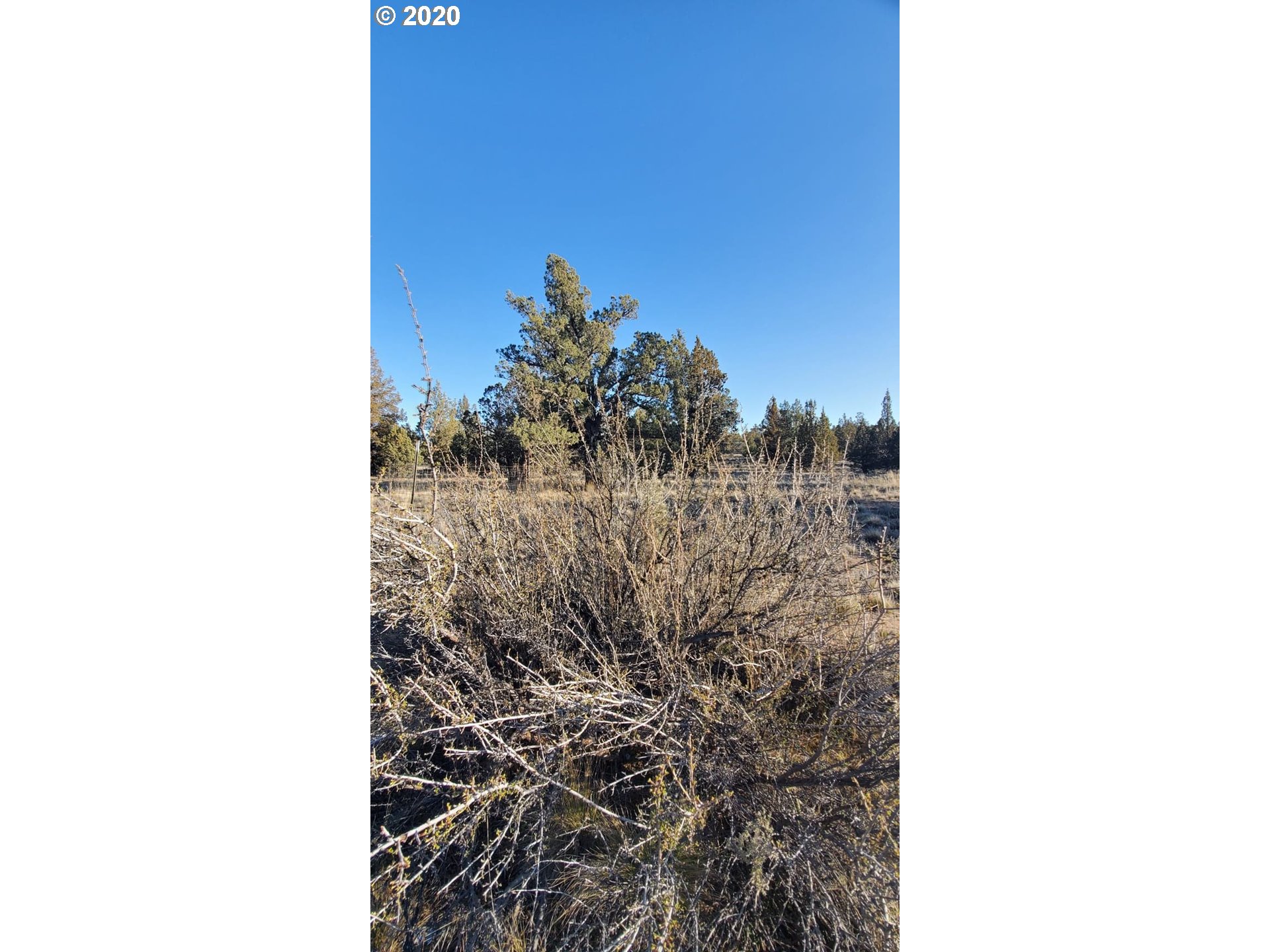 Huron Road Prineville, OR 97754 - Photo 12 of 25 Gallery Image 12