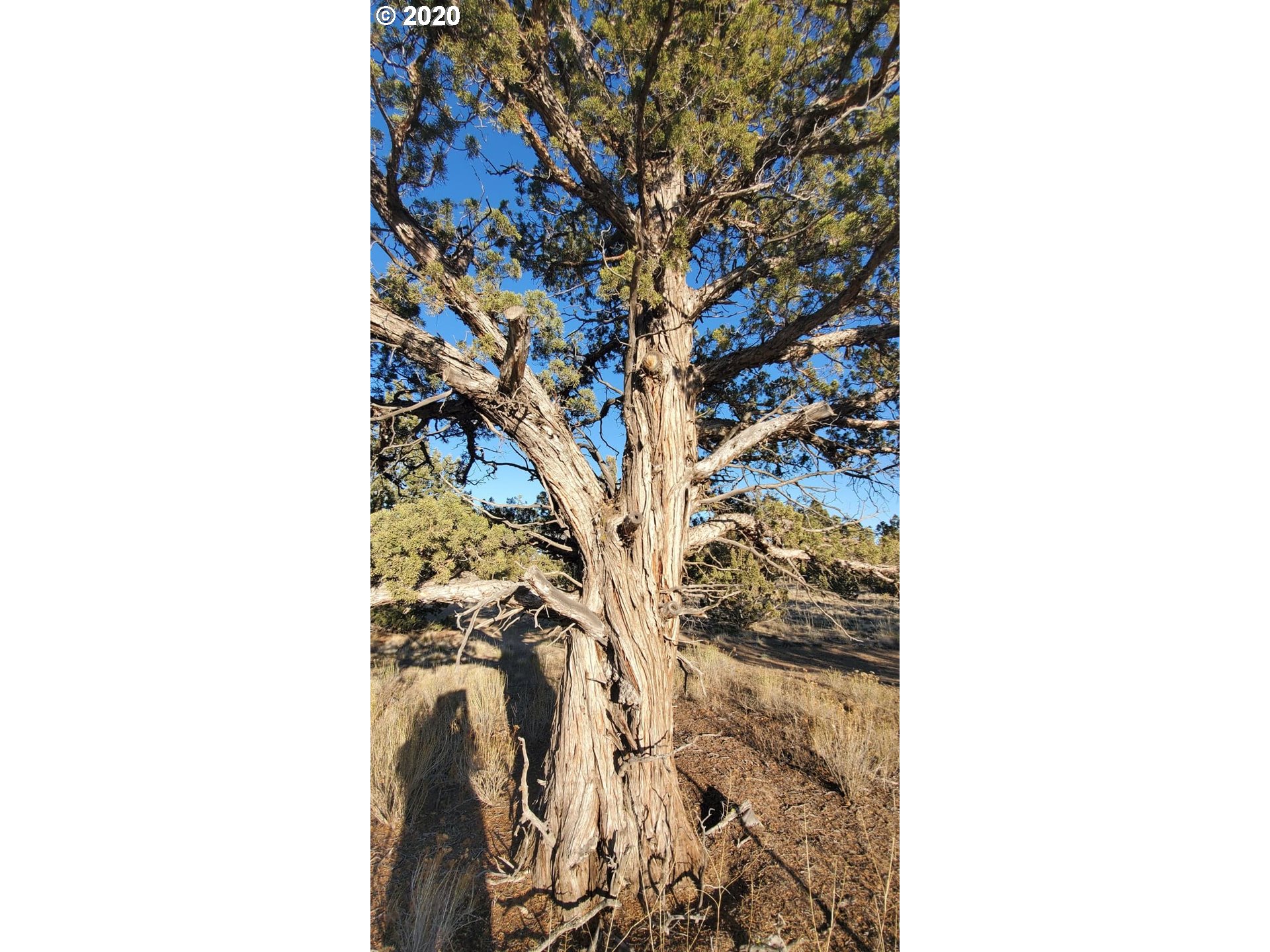 Huron Road Prineville, OR 97754 - Photo 13 of 25 Gallery Image 13