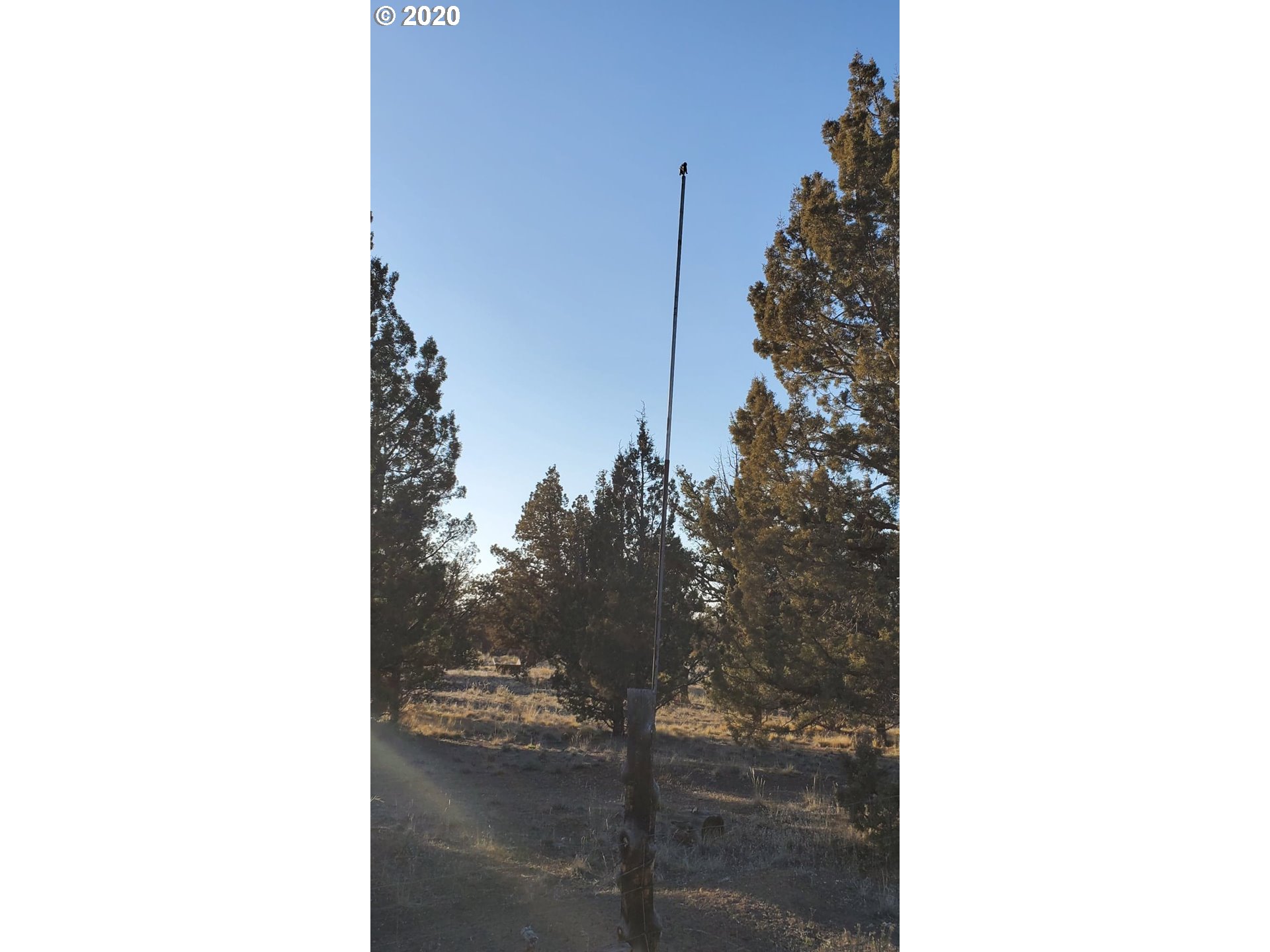 Huron Road Prineville, OR 97754 - Photo 3 of 25 Gallery Image 3