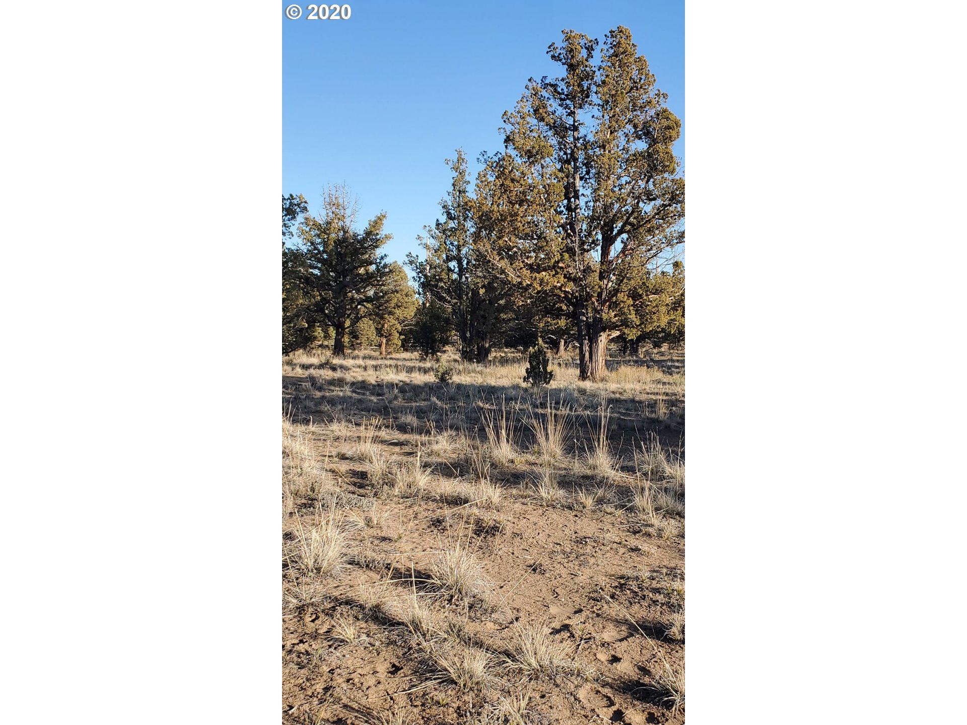 Huron Road Prineville, OR 97754 - Photo 21 of 25 Gallery Image 21