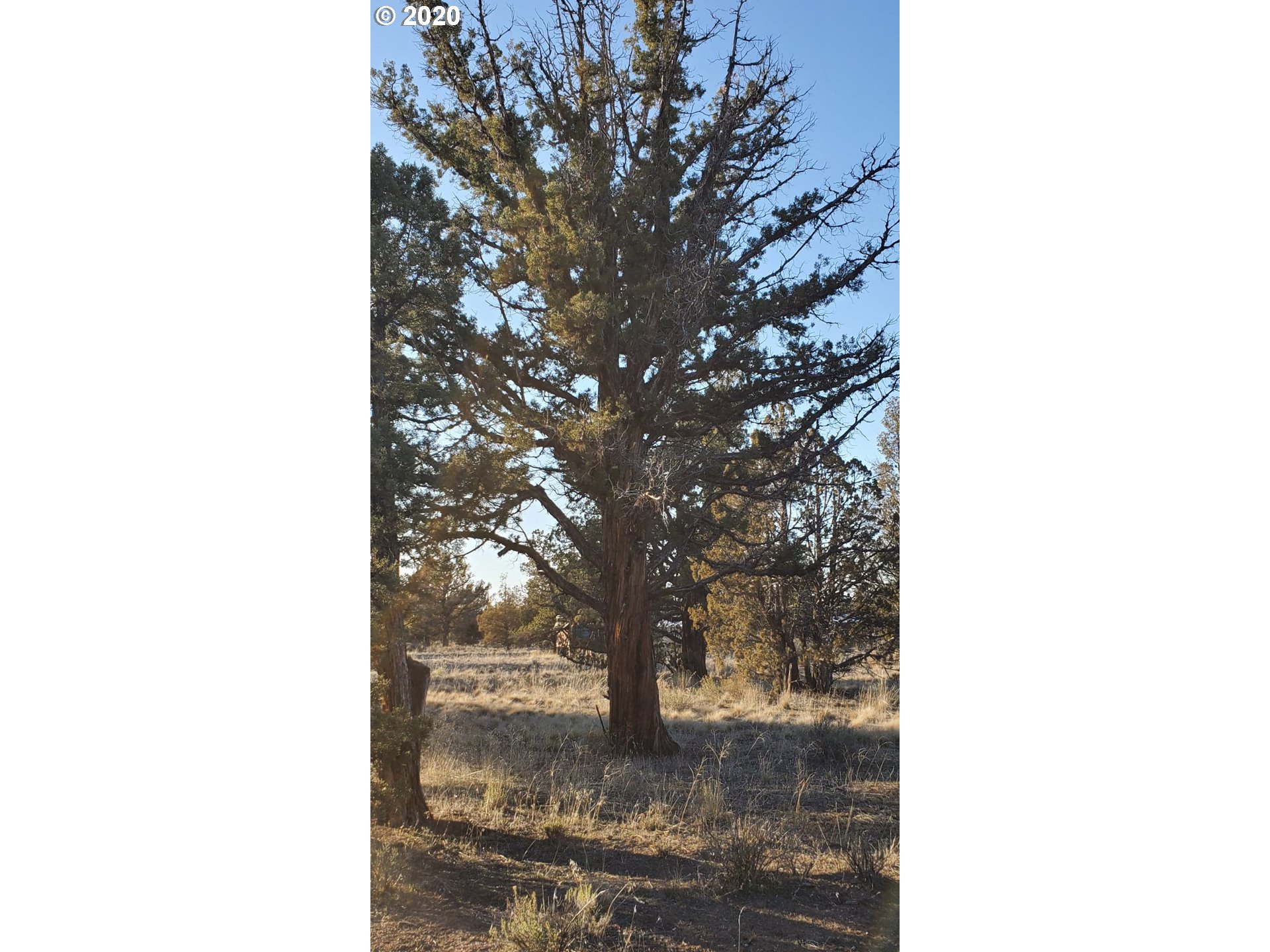 Huron Road Prineville, OR 97754 - Photo 6 of 25 Gallery Image 6
