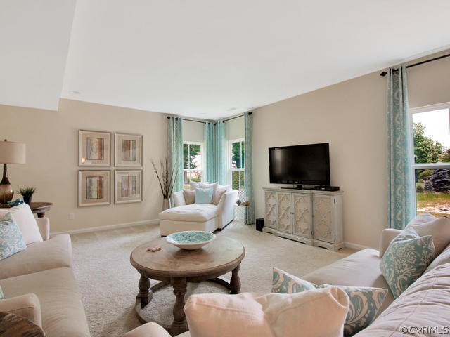 1306 Braisden Road Midlothian, VA 23114 - Photo 17 of 35