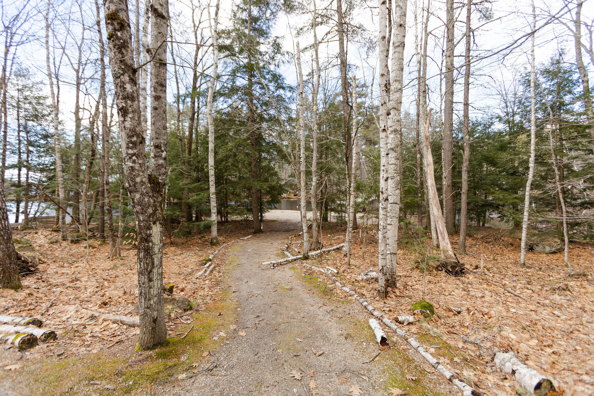 87 Schrader Drive Denmark, ME 04022 - Photo 42 of 52 71-87SchraderDr-6922