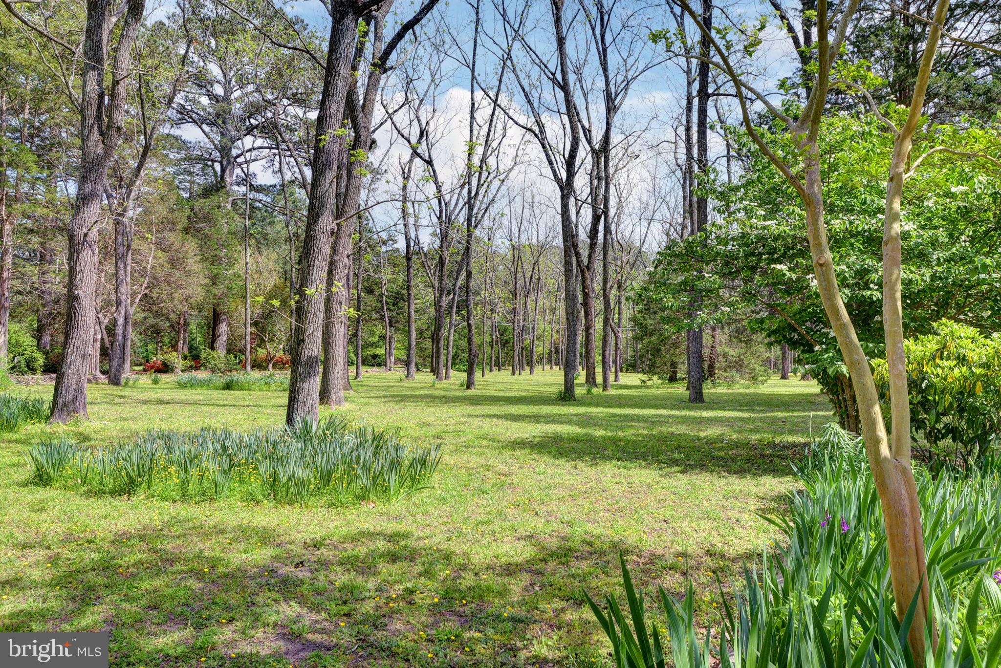 5556 Roanes Wharf Road Gloucester, VA 23061 - Photo 5 of 84