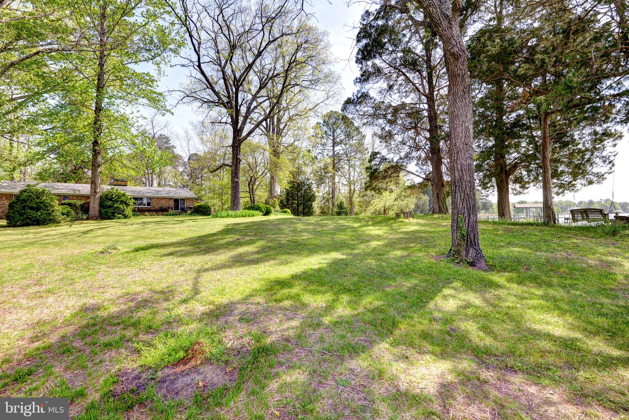 5556 Roanes Wharf Road Gloucester, VA 23061 - Photo 53 of 84 a view of a trees in front of a house