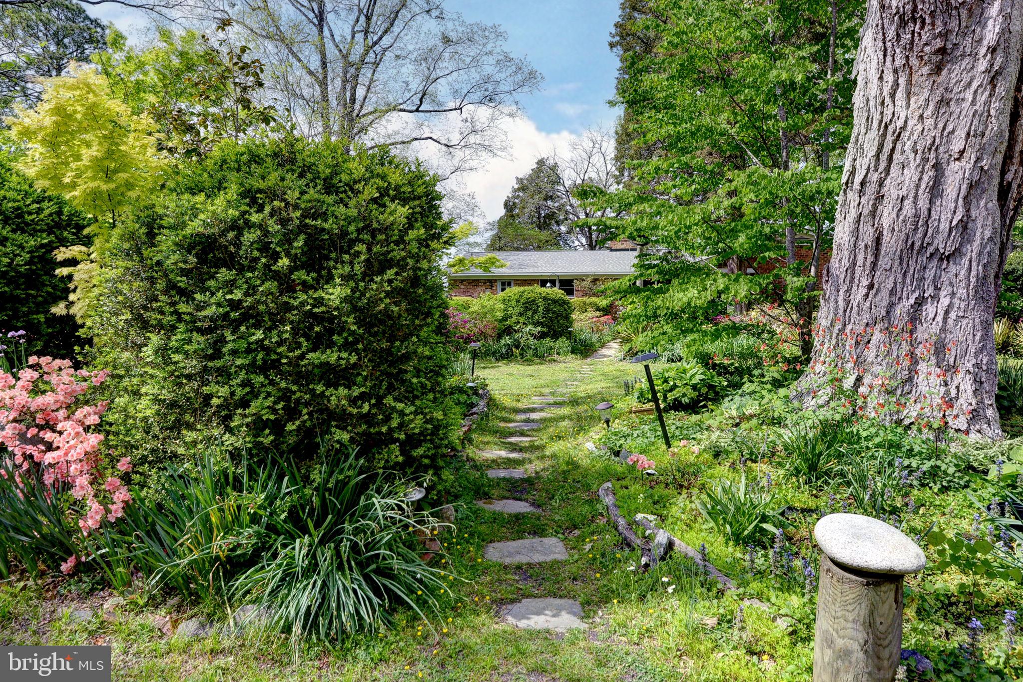 5556 Roanes Wharf Road Gloucester, VA 23061 - Photo 6 of 84 a view of a garden with plants