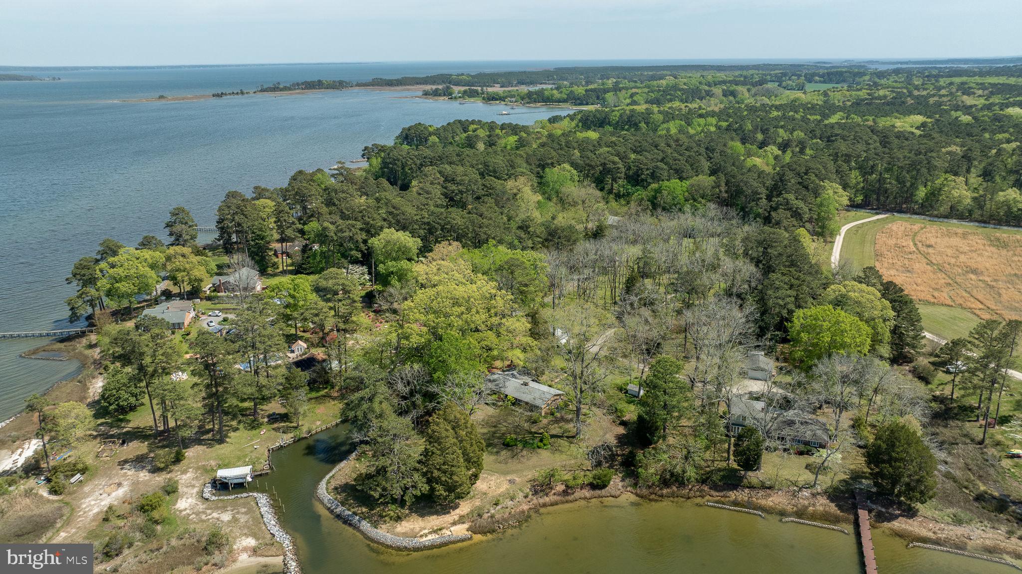 5556 Roanes Wharf Road Gloucester, VA 23061 - Photo 63 of 84 a view of a lake from a yard