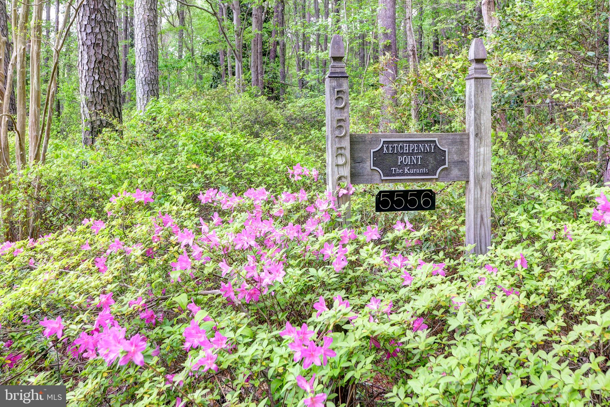 5556 Roanes Wharf Road Gloucester, VA 23061 - Photo 75 of 84