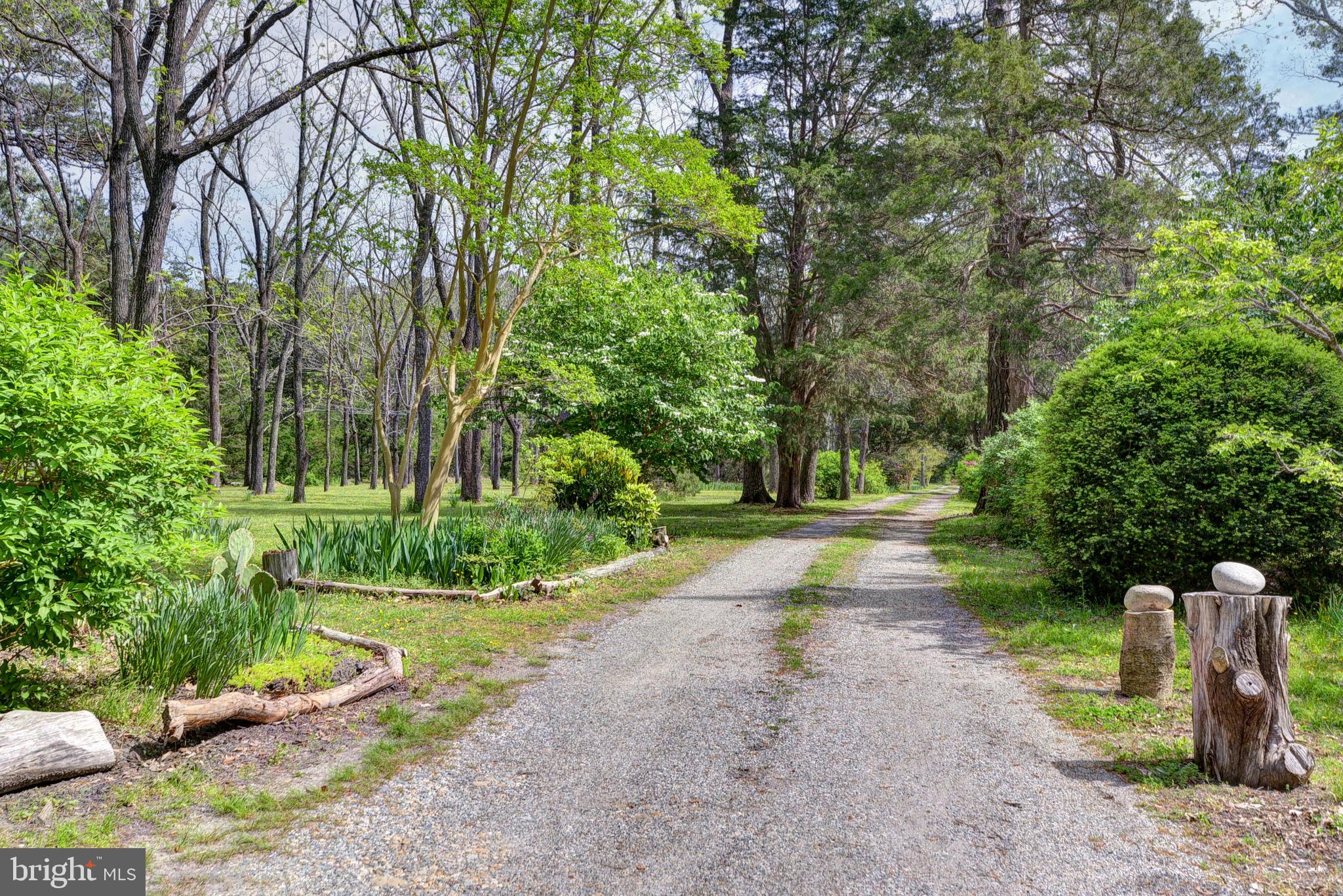 5556 Roanes Wharf Road Gloucester, VA 23061 - Photo 77 of 84 a view of a park with plants and trees