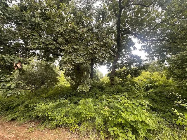 $7,000 | 0 Hickory Lane, Ozawkie, KS 66070