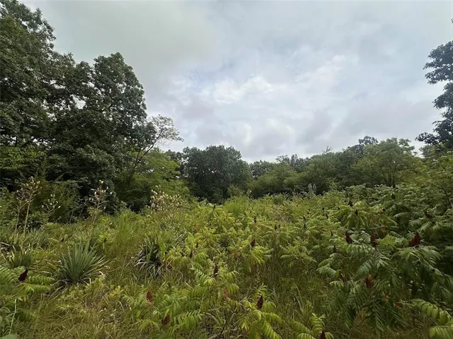 $6,000 | 0 Hickory Lane, Ozawkie, KS 66070