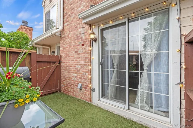 a view of backyard with potted plants