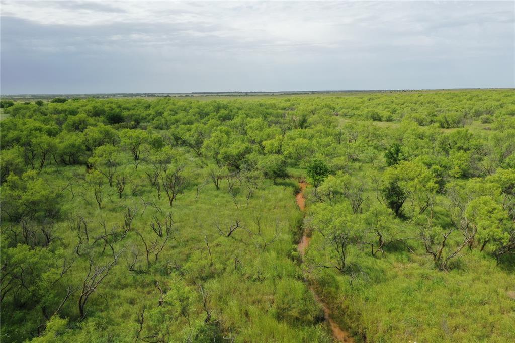 Ln-tract 9 Bellevue, TX 76228 - Photo 4 of 9 a view of yard with ocean view