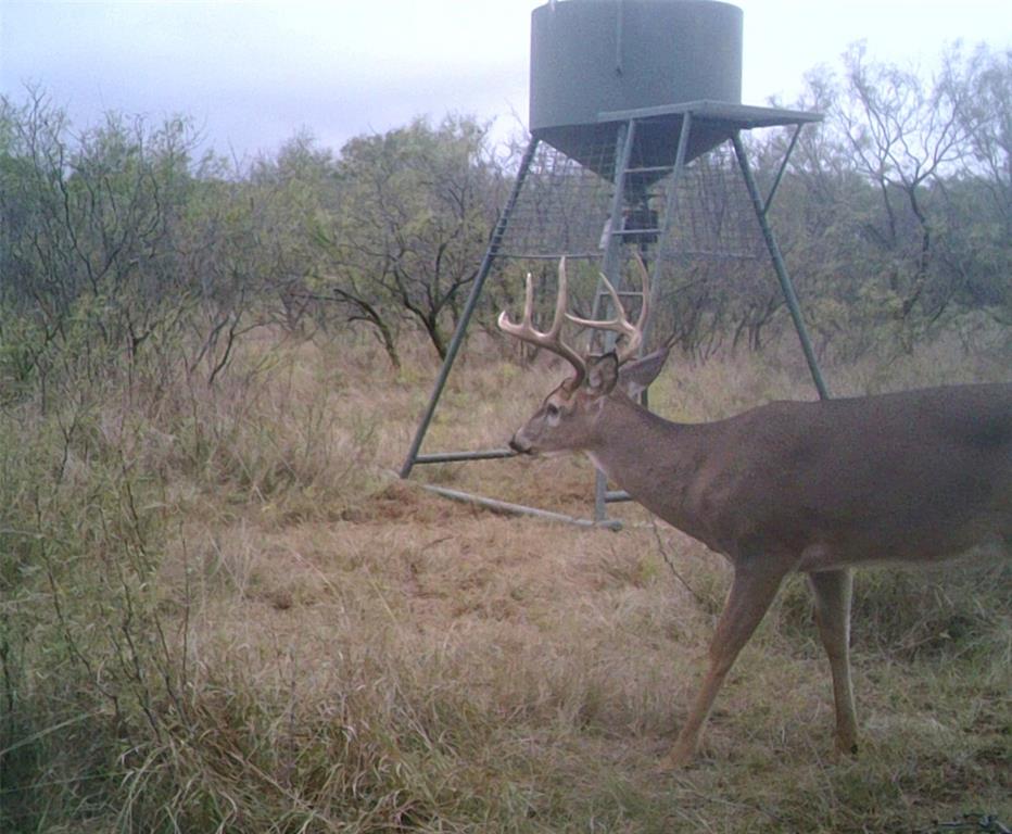 Ln-tract 9 Bellevue, TX 76228 - Photo 5 of 9 a view of outdoor space and street view