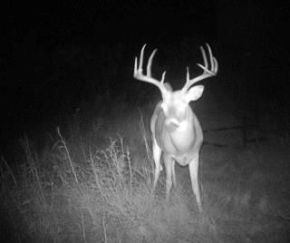 Ln-tract 9 Bellevue, TX 76228 - Photo 6 of 9