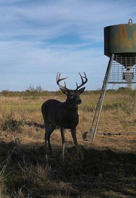 Ln-tract 9 Bellevue, TX 76228 - Photo 7 of 9 a view of a terrace