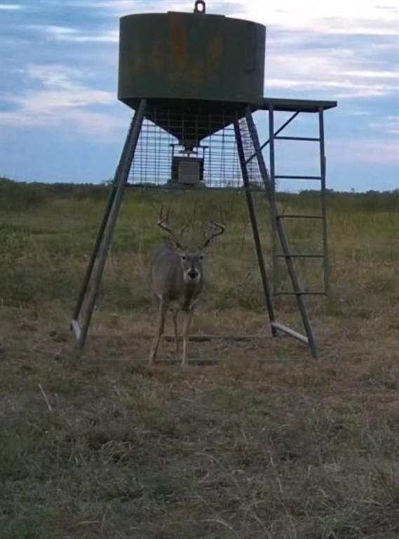 Ln-tract 9 Bellevue, TX 76228 - Photo 8 of 9 a view of an outdoor space