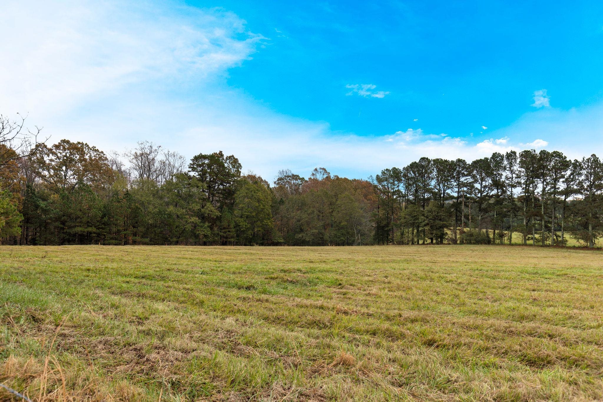 802 Hickory Hollow Road Inman, SC 29349 - Photo 6 of 34